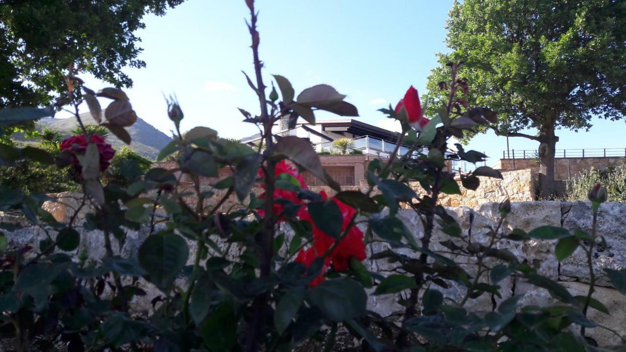 Villa Treglia B&B Formia Extérieur photo