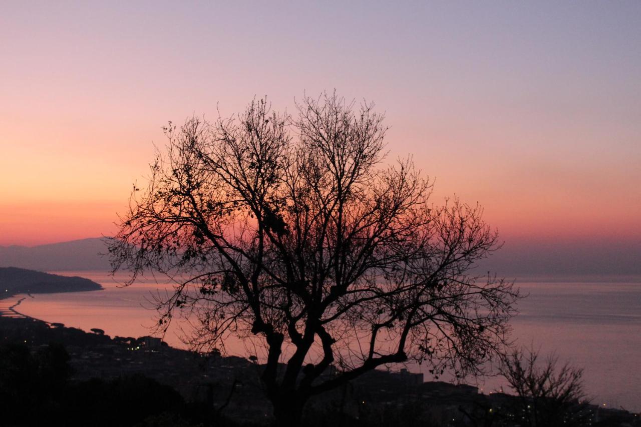 Villa Treglia B&B Formia Extérieur photo